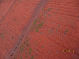 IMG_1714 IMG_1714