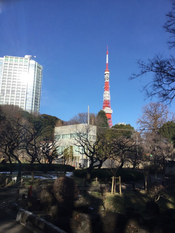 東京タワー S__3825667