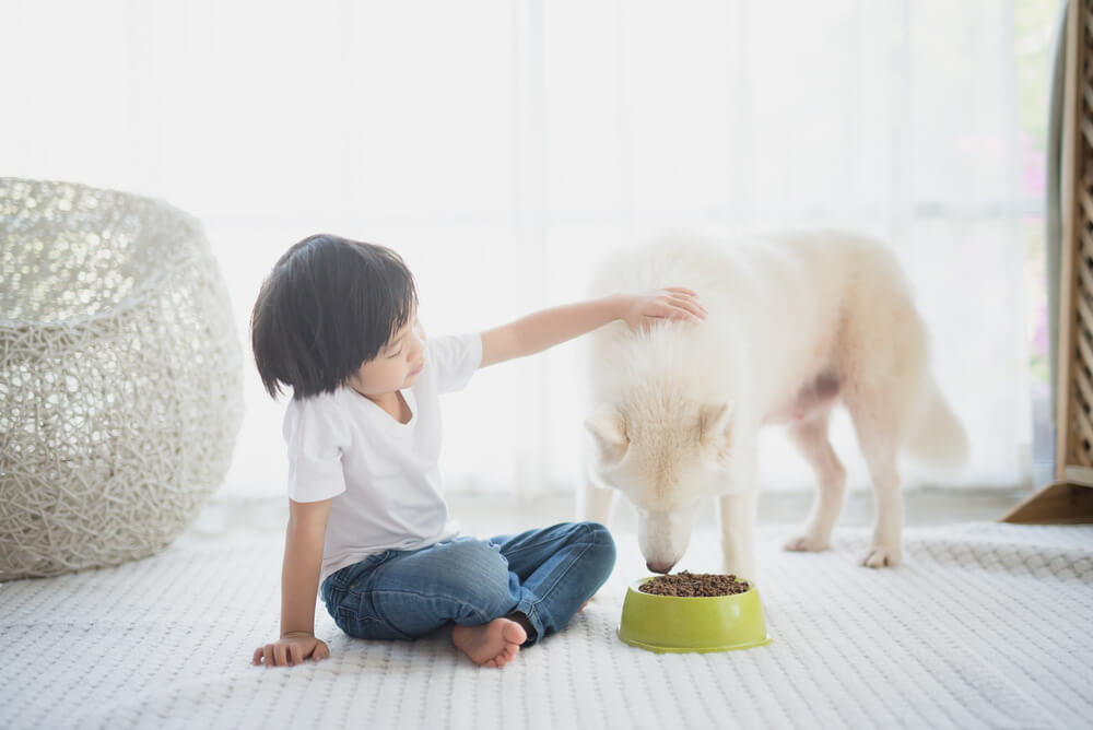 ペットを飼っている家庭