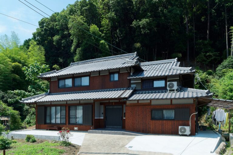 🌳　木　について🌳