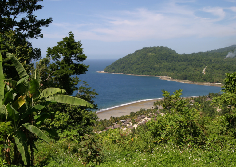 海岸林のお話🌳