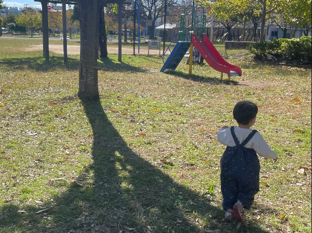 ☀太陽光について勉強してみました☀