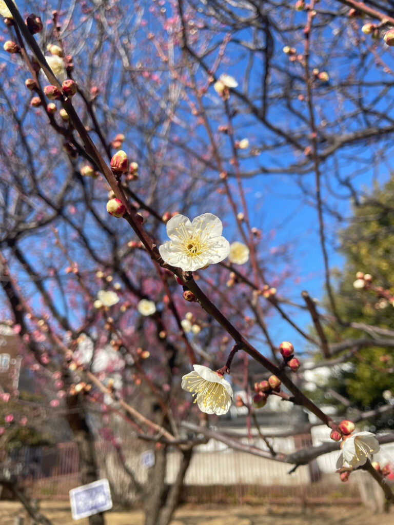 ポカポカ陽気にさそわれて。。❁