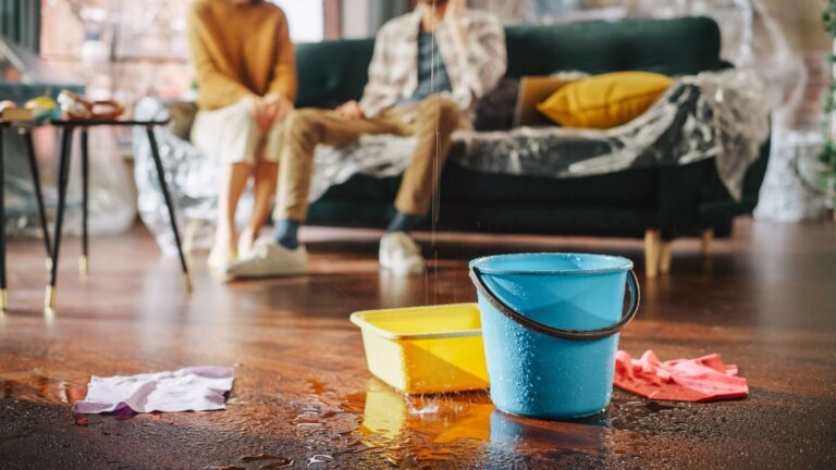 雨漏り応急処置完全ガイド：自宅でできる対策とプロに依頼するタイミング