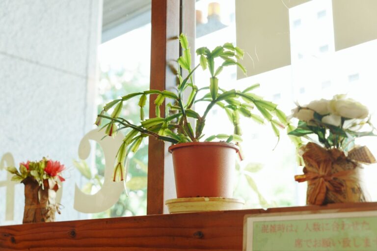 ZEHリフォームしても結露が止まらない？原因と対策が噛み合わない理由（前半）