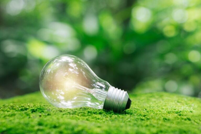 太陽光ありのZEHリフォーム費用を徹底解説｜補助金で初期負担を抑える方法と回収シミュレーション（後半）