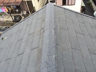 齋藤様_170314_0001_R 12715a267b68edea23c6d8ea38b8ec7b
