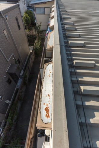 20171105_shiraishisama-kamikitazawa_009_N8A8637_R 20171105_shiraishisama-kamikitazawa_009_N8A8637_R1