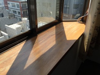IMG_0100 IMG_0100