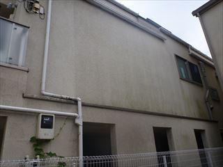 P1060260_R P1060260_R