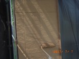 RIMG0058_R RIMG0058_R